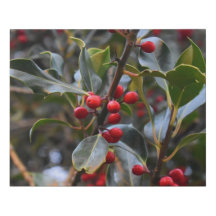 Holly Berries Faux Wrapped Canvas Medium