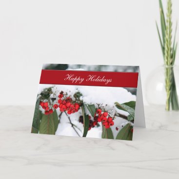 holly berries in snow  Corporate holiday Cards