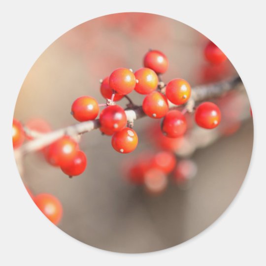 Holly Berries Photo Sticker