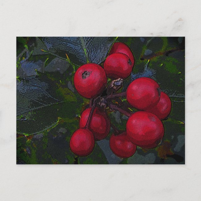 Holly Berries Postcard