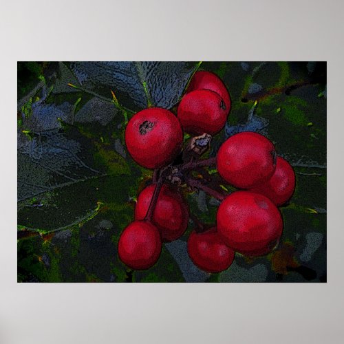 Holly Berries Poster
