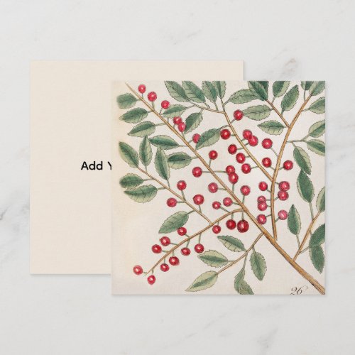 Holly Berry Holiday Winter Christmas   Invitation