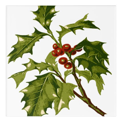 Holly Christmas Red Berry Acrylic Print
