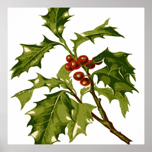 Holly Christmas Red Berry Poster