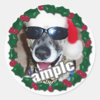 Holly Frame for your Christmas Photo! Classic Round Sticker
