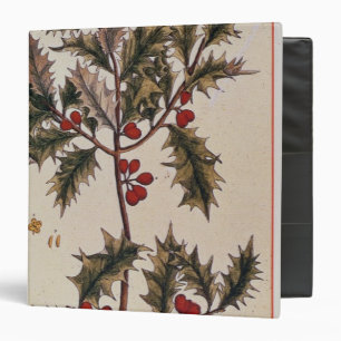 Holly from 'A Curious Herbal', 1782 Binder