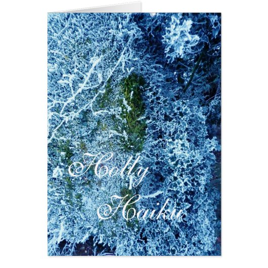 Holly Haiku Cards (Front)