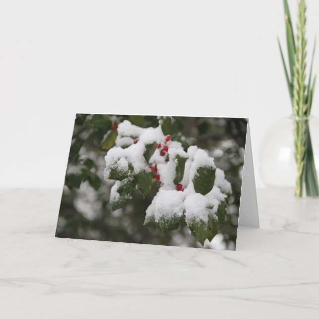 Holly in Fresh Snow, Blank Card, Use for Notes (Front)