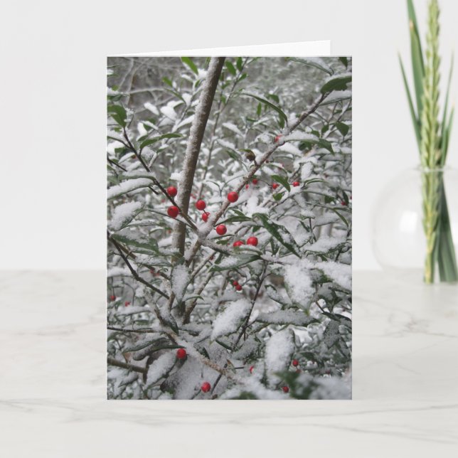 "Holly in the snow" greeting card. Holiday Card (Front)
