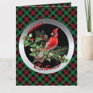 Holly Jolly Cardinal Greetings of Christmas Card