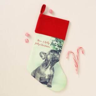 Holly Jolly Christmas Custom Puppy Photo Stocking