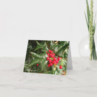 Holly Leaves and Red Berries Card