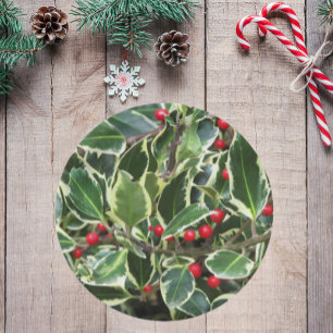 Holly Leaves and Red Berries Holiday Paper Plates