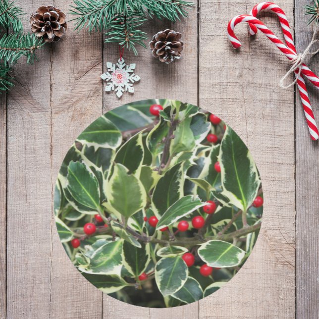 Holly Leaves and Red Berries Holiday Paper Plates (In Situ Holiday)