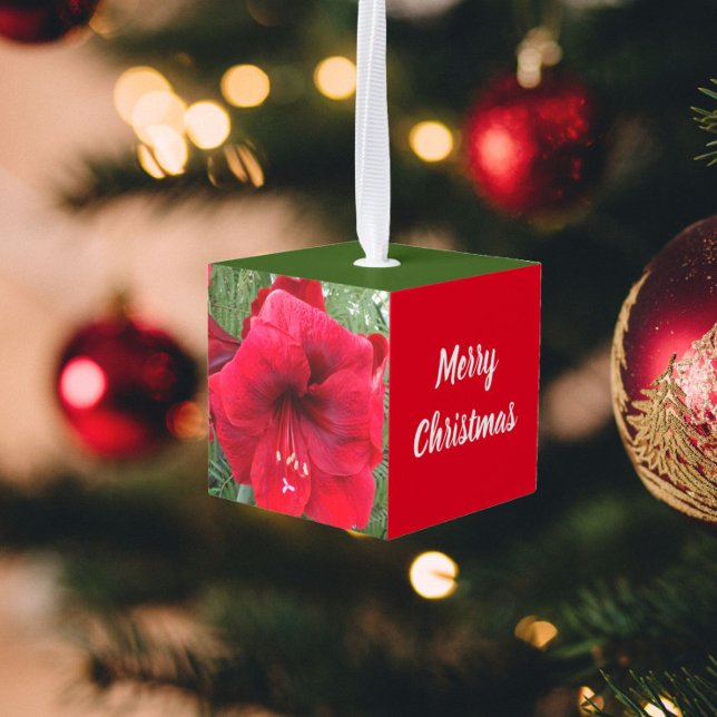 Holly Leaves and Red Christmas Amaryllis Holiday Cube Ornament (In Situ)