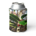 Holly Leaves I Holiday Botanical Can Cooler