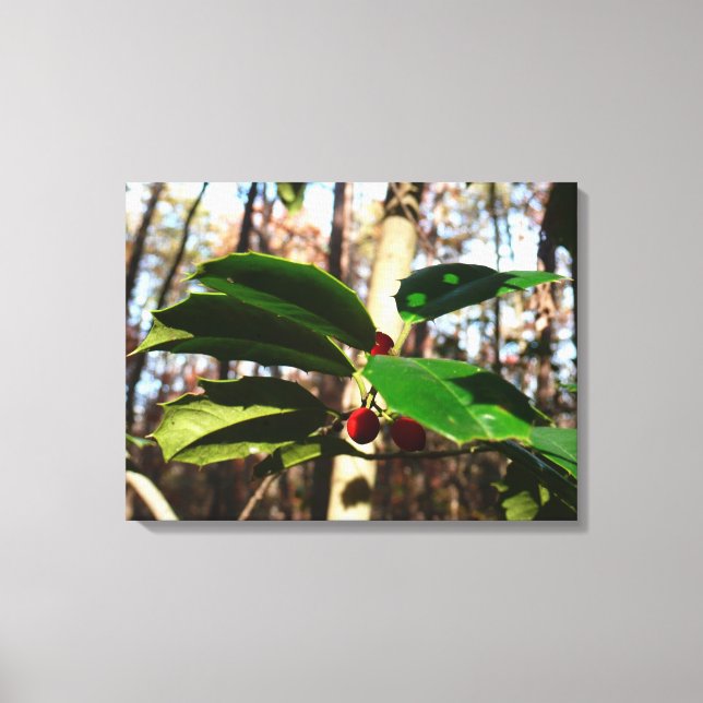 Holly Leaves I Holiday Botanical Canvas Print (Front)