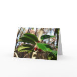 Holly Leaves I Holiday Botanical Card