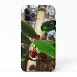 Holly Leaves I Holiday Botanical iPhone 11 Pro Case