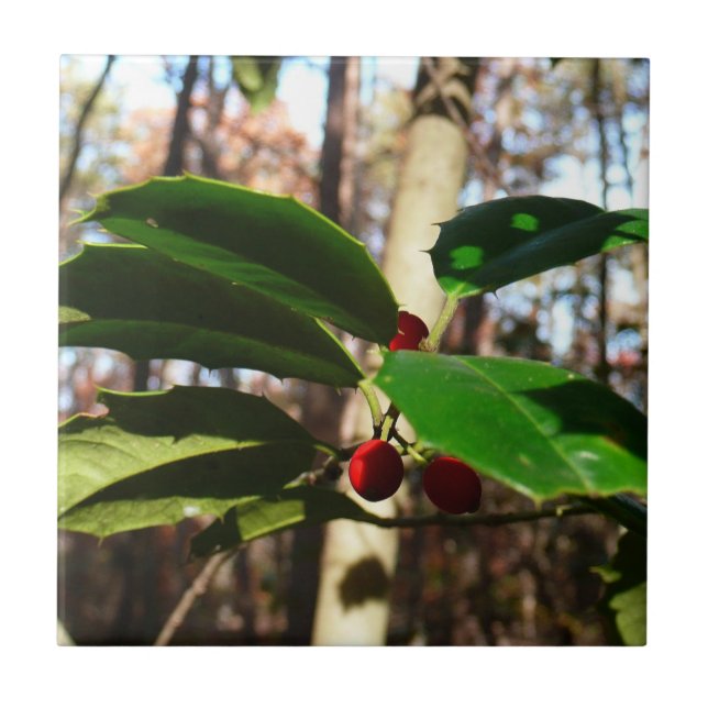 Holly Leaves I Holiday Botanical Ceramic Tile (Front)