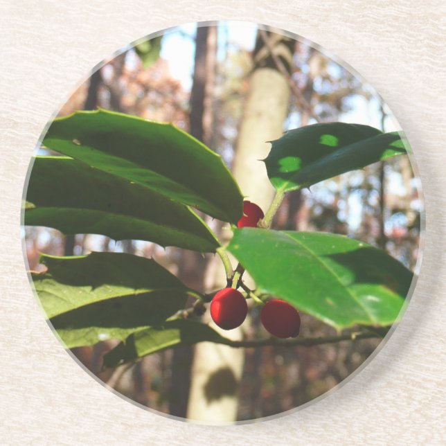 Holly Leaves I Holiday Botanical Drink Coaster (Front)