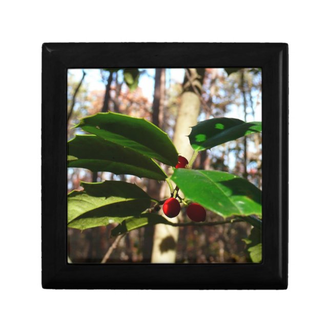 Holly Leaves I Holiday Botanical Keepsake Box (Front)