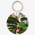 Holly Leaves I Holiday Botanical Keychain