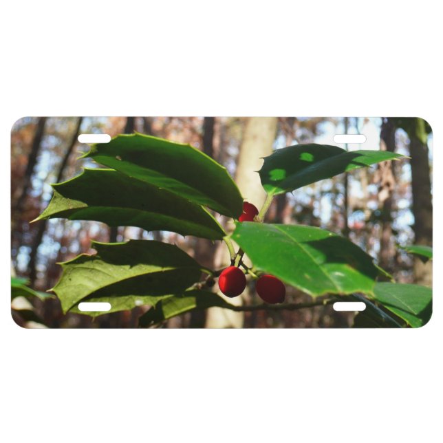 Holly Leaves I Holiday Botanical License Plate (Front)