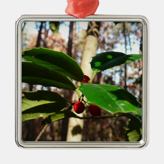 Holly Leaves I Holiday Botanical Metal Ornament (Front)