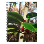 Holly Leaves I Holiday Botanical Notebook