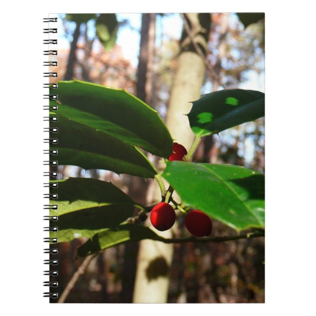 Holly Leaves I Holiday Botanical Notebook (Front)