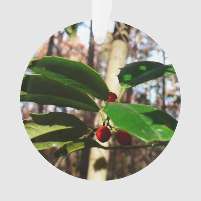 Holly Leaves I Holiday Botanical Ornament (Front)