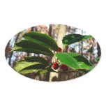 Holly Leaves I Holiday Botanical Oval Sticker