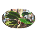 Holly Leaves I Holiday Botanical Oval Sticker