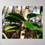 Holly Leaves I Holiday Botanical Poster