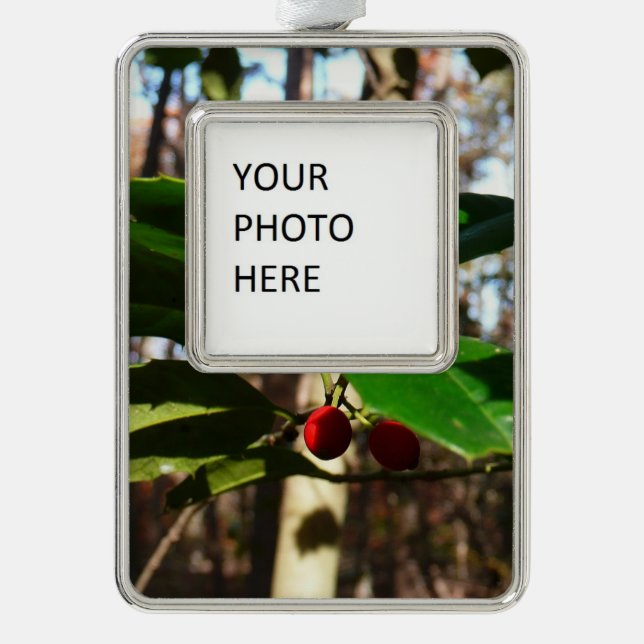 Holly Leaves I Holiday Botanical Silver Plated Framed Ornament (Front)