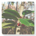 Holly Leaves I Holiday Botanical Stone Coaster