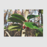 Holly Leaves I Holiday Botanical Tissue Paper