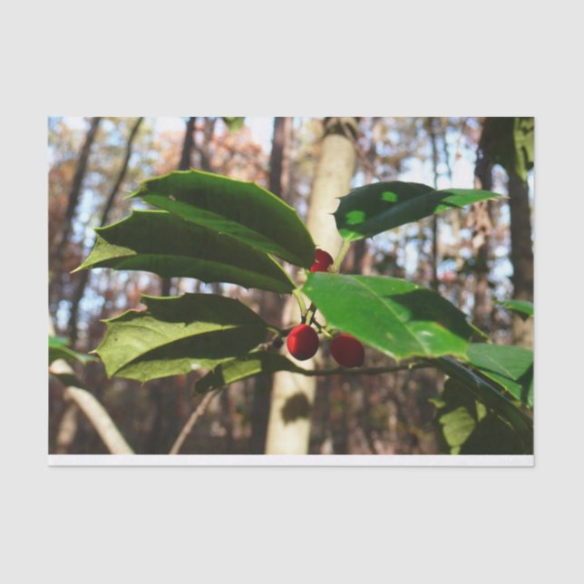 Holly Leaves I Holiday Botanical Tissue Paper (Front)
