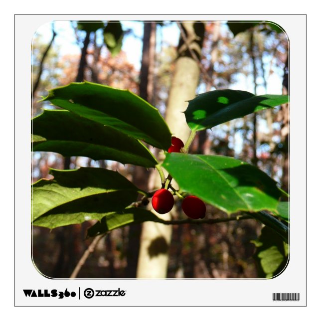 Holly Leaves I Holiday Botanical Wall Sticker (Front)