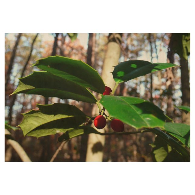 Holly Leaves I Holiday Botanical Wood Poster (Front)