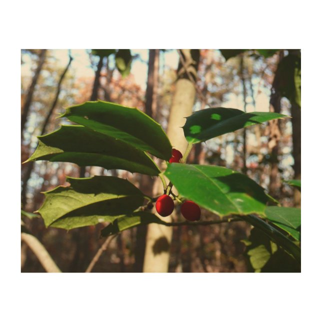 Holly Leaves I Holiday Botanical Wood Wall Decor (Front)