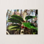 Holly Leaves I Holiday Christmas Nature Botanical Jigsaw Puzzle