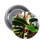 Holly Leaves I Holiday Christmas Nature Botanical Pinback Button