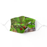 Holly Leaves II Holiday Nature Botanical Adult Cloth Face Mask