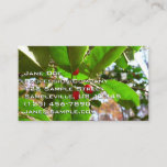 Holly Leaves II Holiday Nature Botanical Business Card