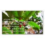 Holly Leaves II Holiday Nature Botanical Business Card Magnet