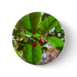 Holly Leaves II Holiday Nature Botanical Button