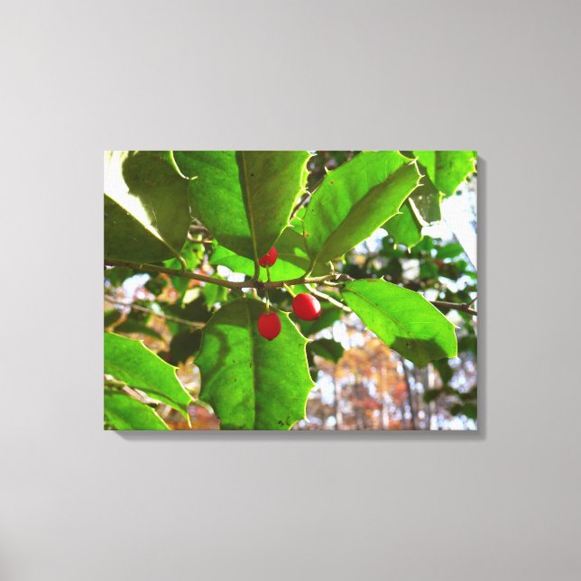 Holly Leaves II Holiday Nature Botanical Canvas Print (Front)
