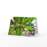Holly Leaves II Holiday Nature Botanical Card